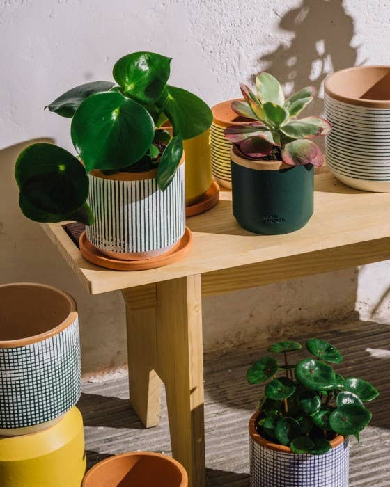 Painted clay pot with saucer – Small