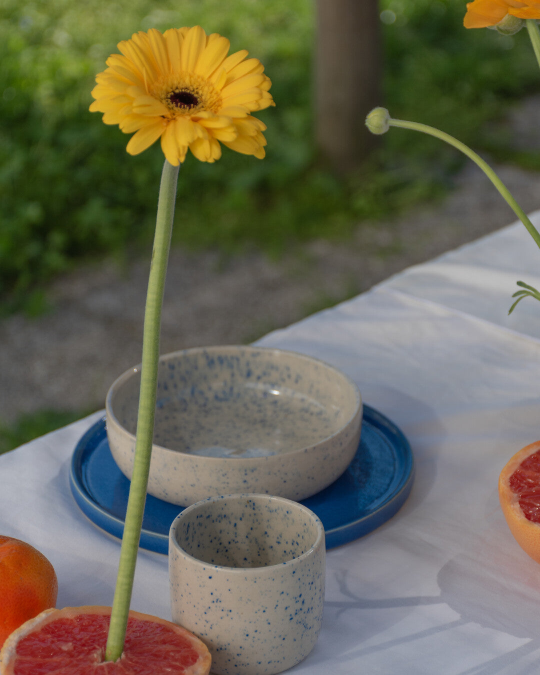 Ciotola per la colazione