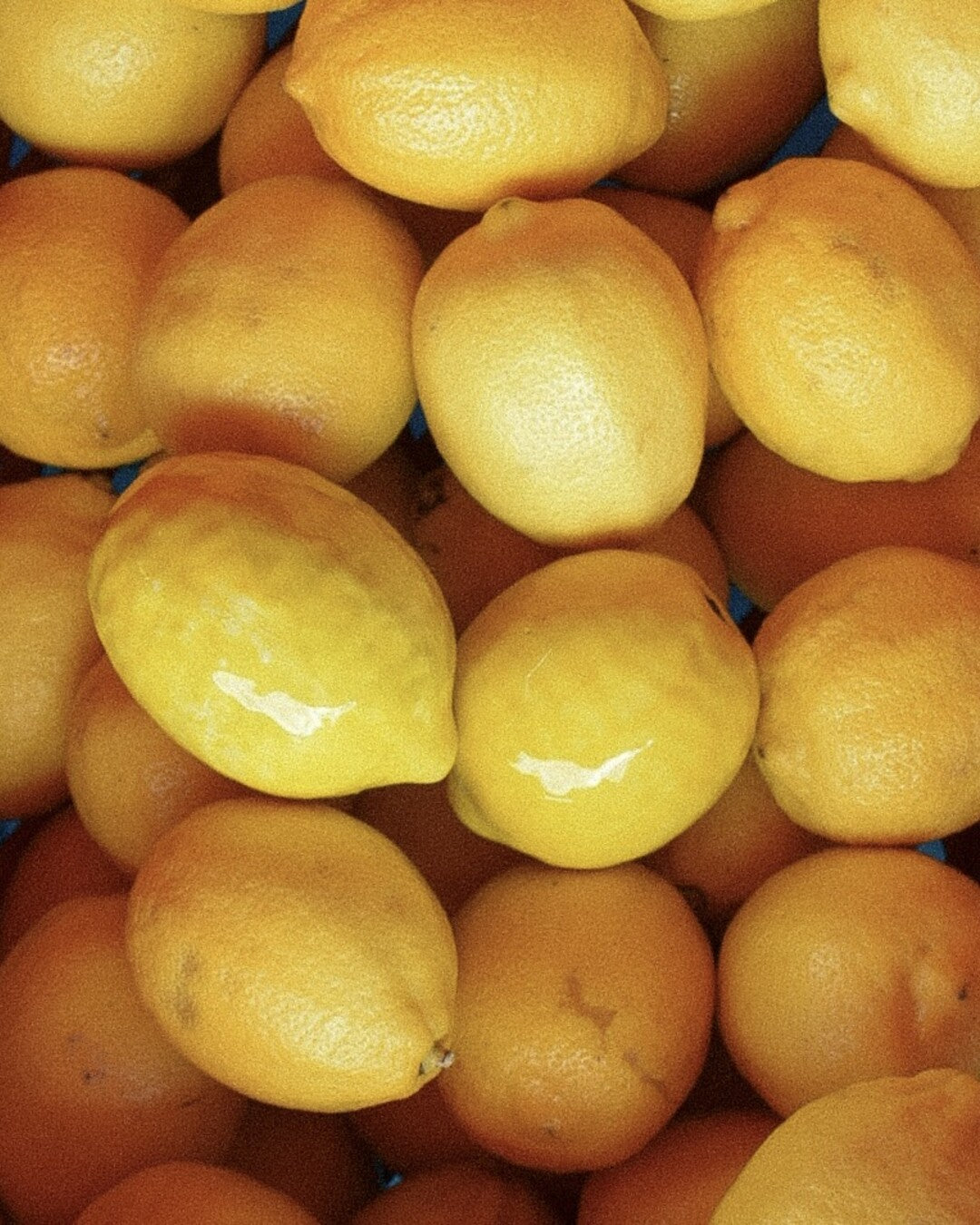 Lemon - Decorative ceramic fruit