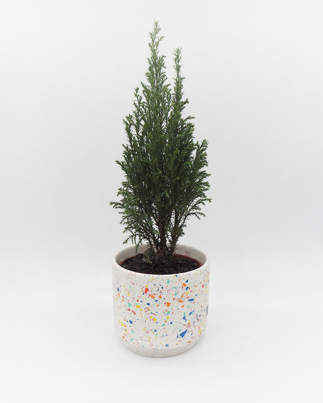 Tacot Terrazzo Planter