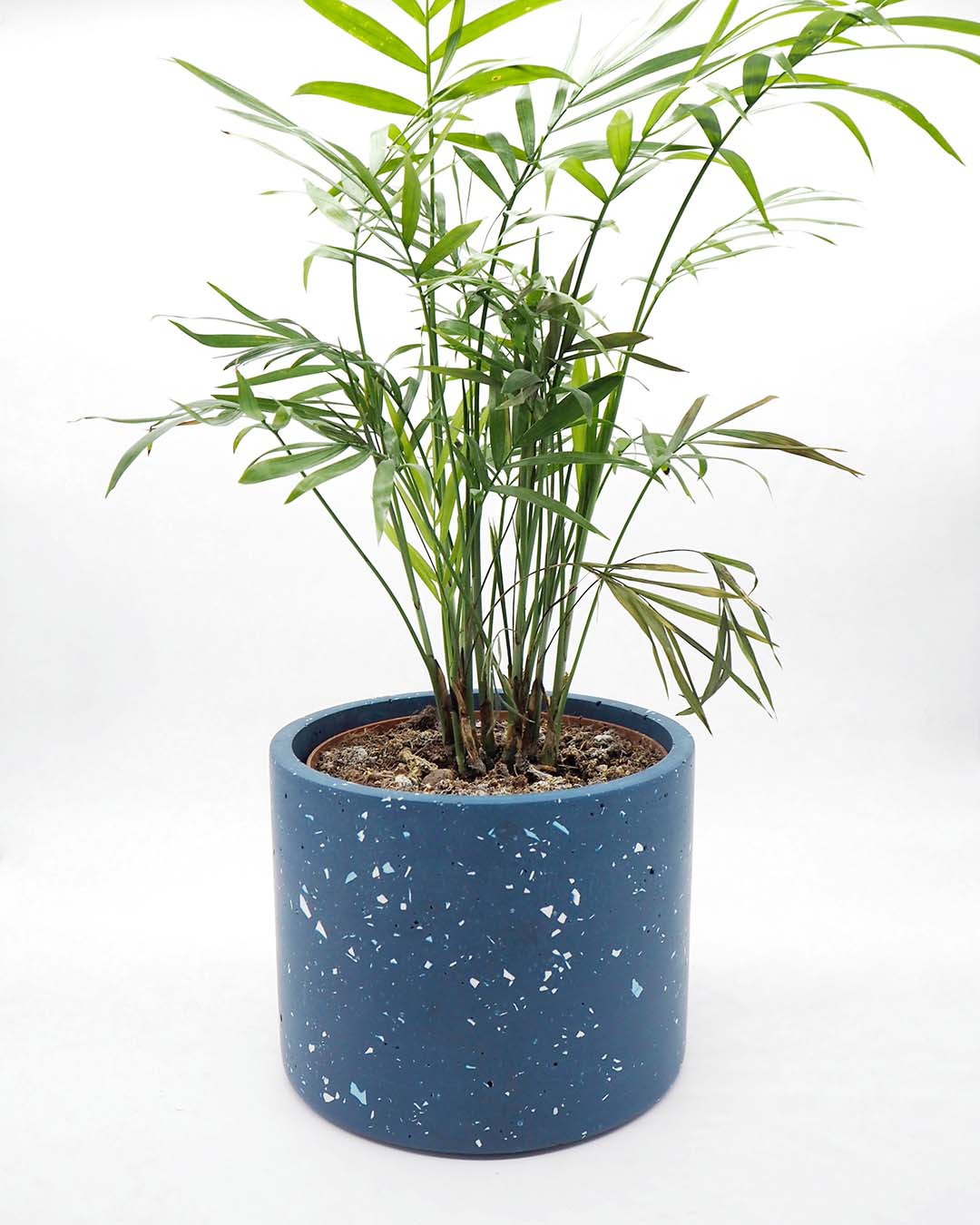 Maxi Vinco Planter