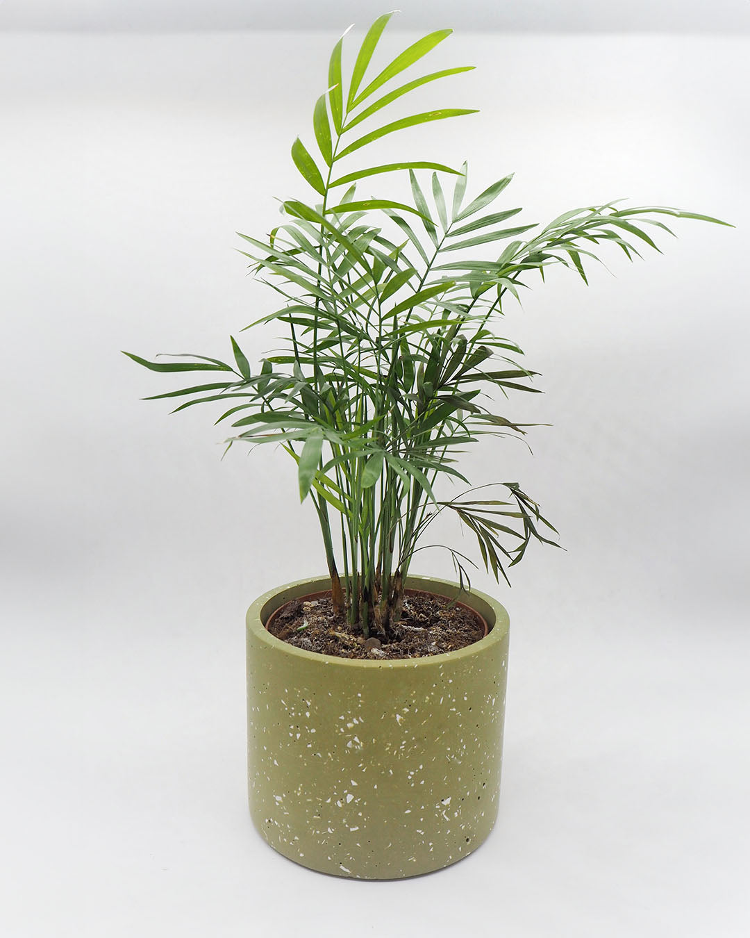 Maxi Vinco Planter