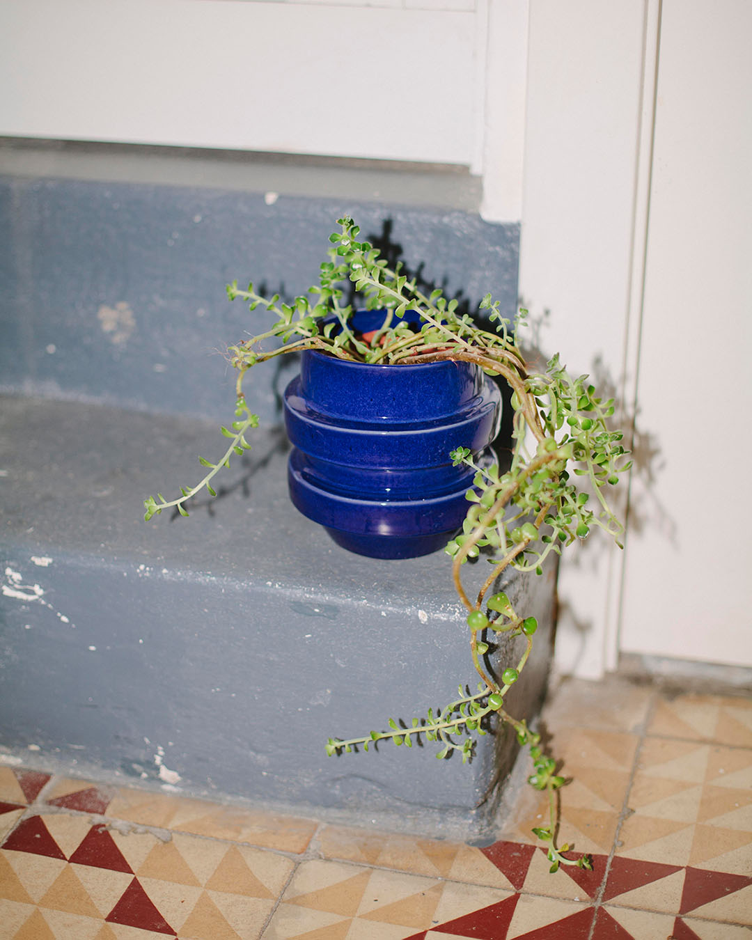 Glazed Boia Clay Pot - Blue