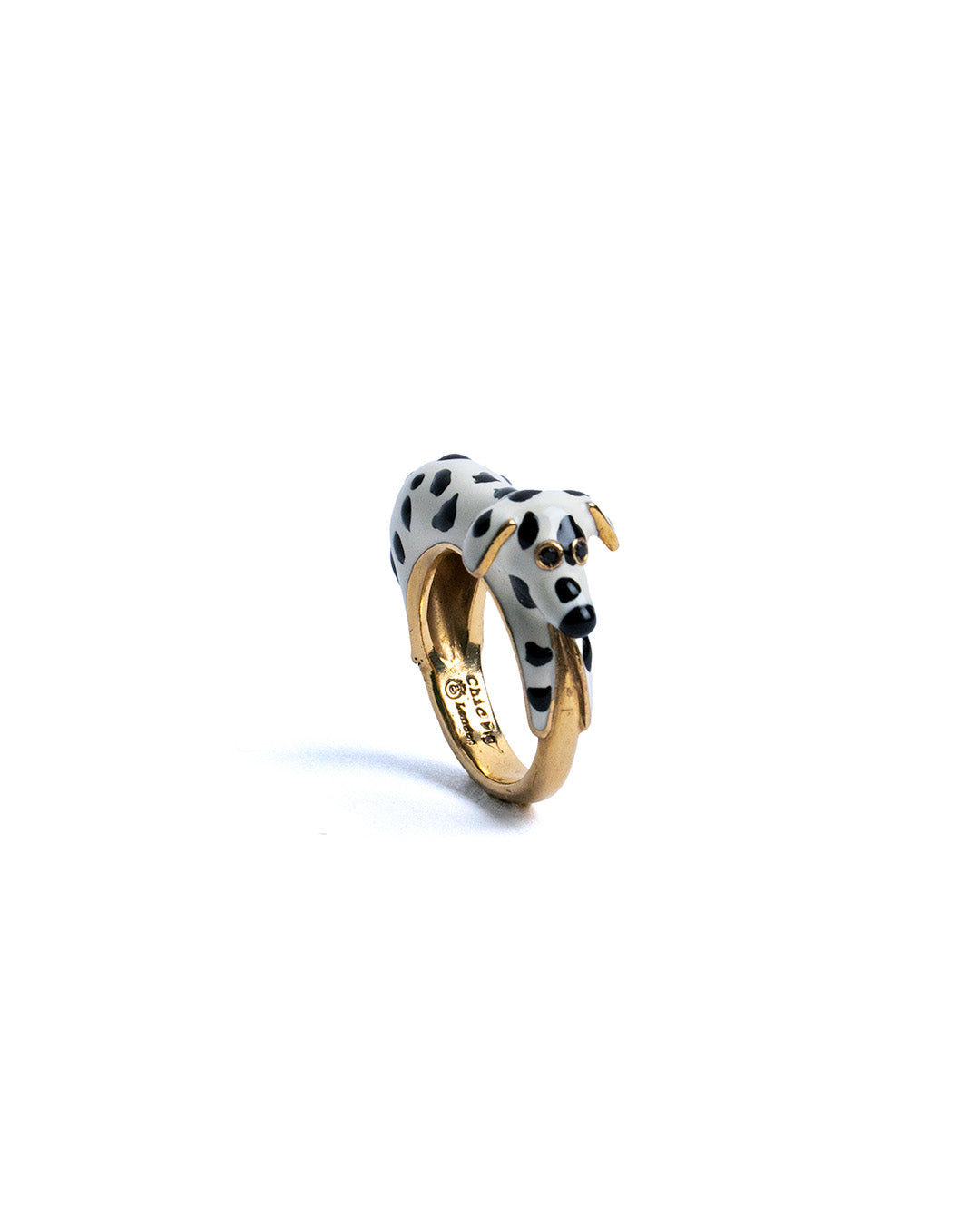 Dalmatian ring 2025