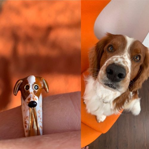 Custom Dog Ring