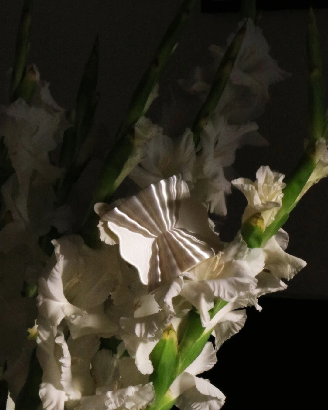 GALÉA - 3D printed Eggcup