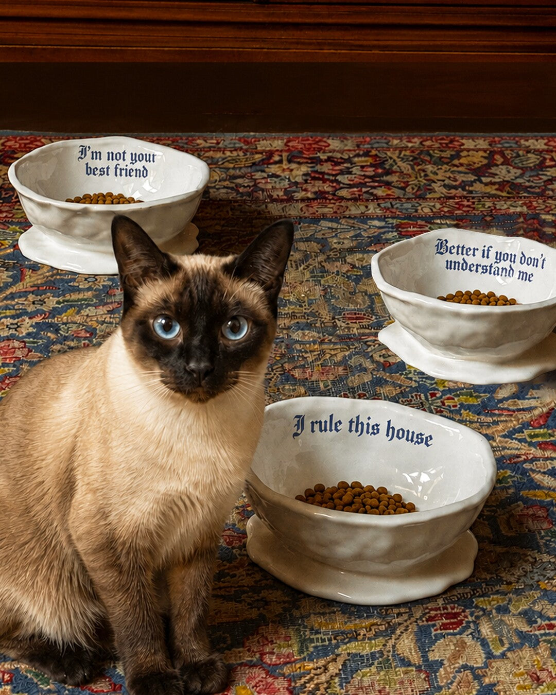 Issues Pets Bowl - "I rule this house"