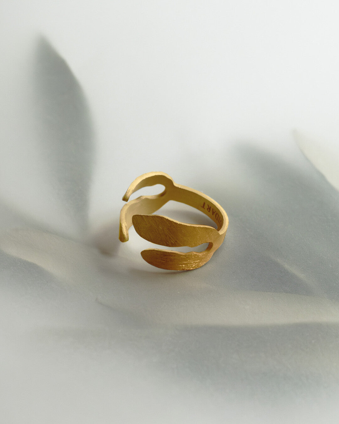 Ring Silvela