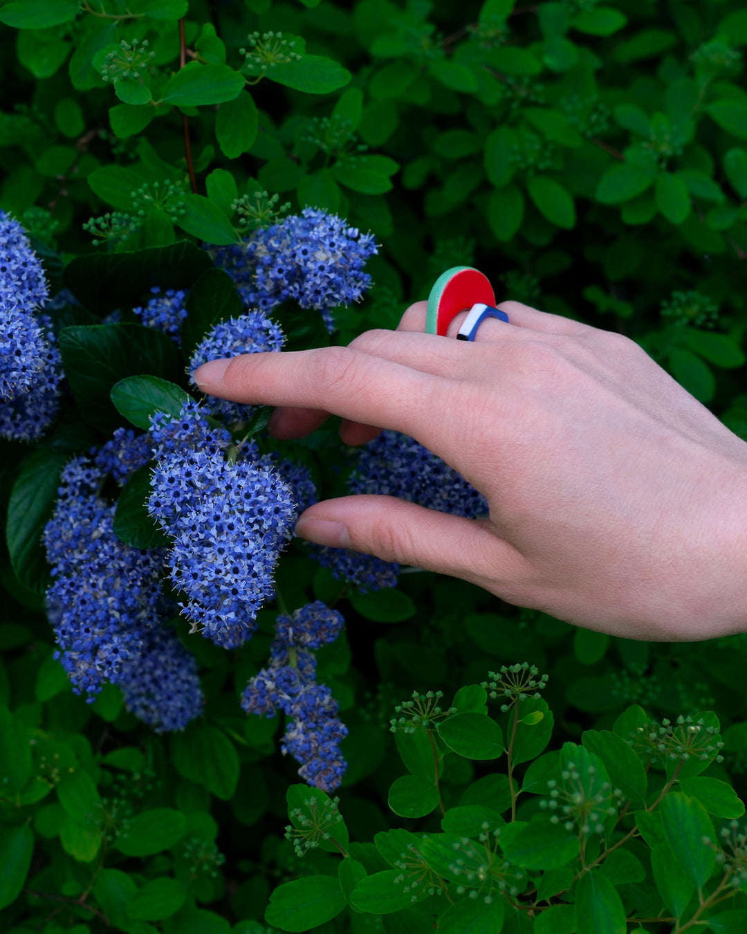 Oval Ceramic Ring