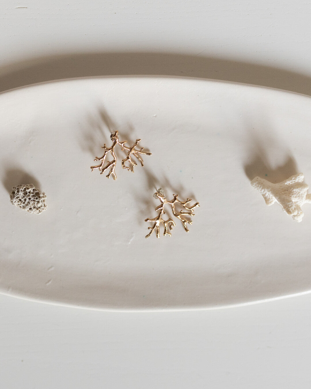 Coral Earrings