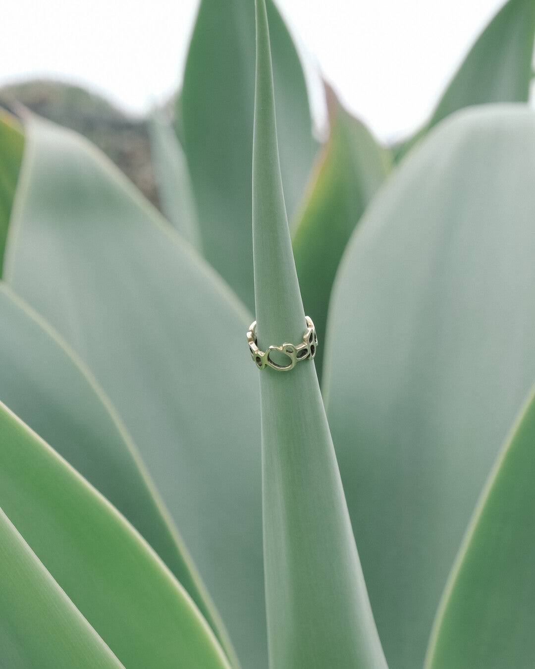 Nebula Ring