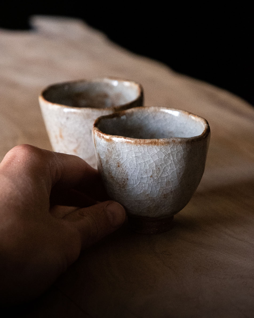 Shino Tea Cup