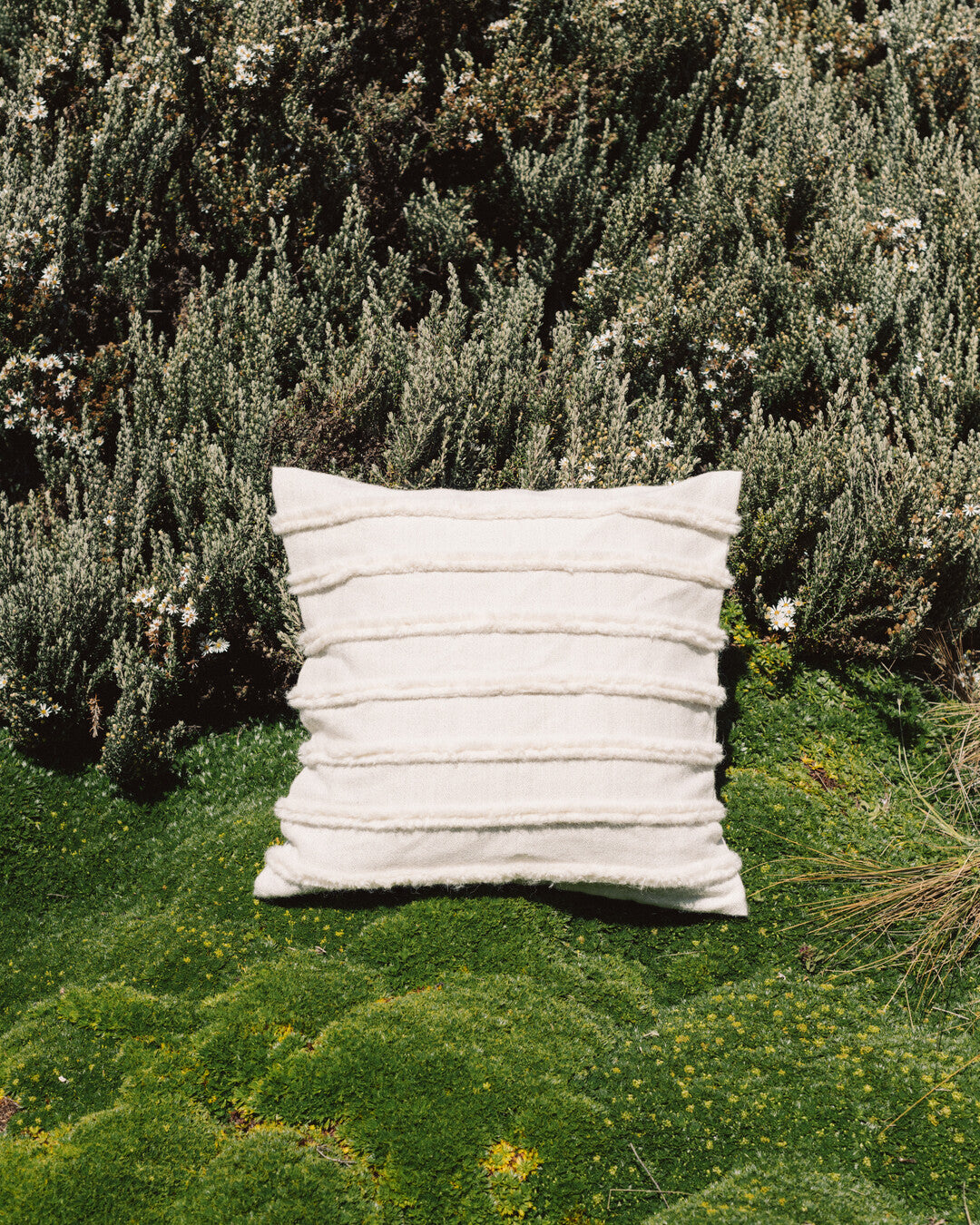 WASI Alpaca Square Cushion