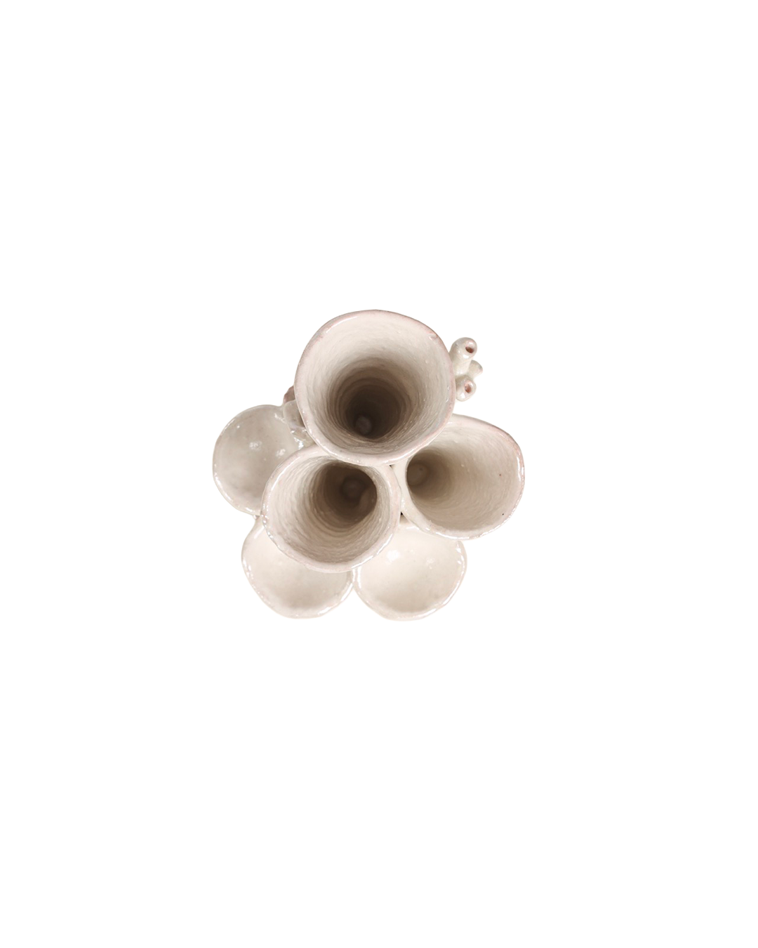 Corallo - Large Serving set