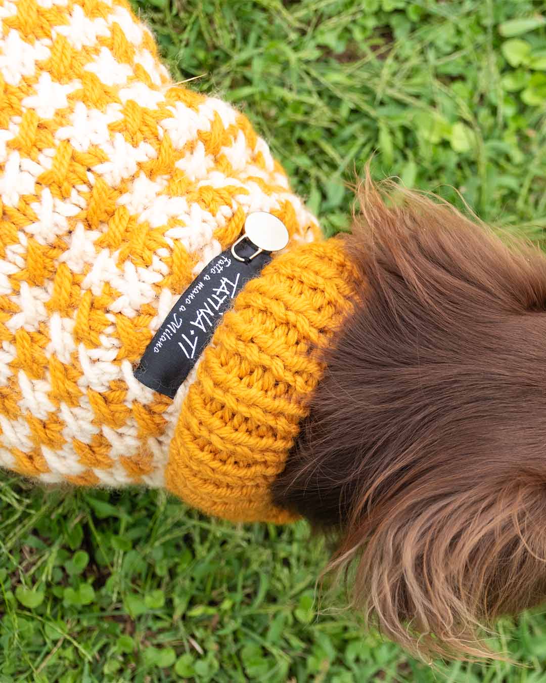 COCO - pied de poule dog sweater