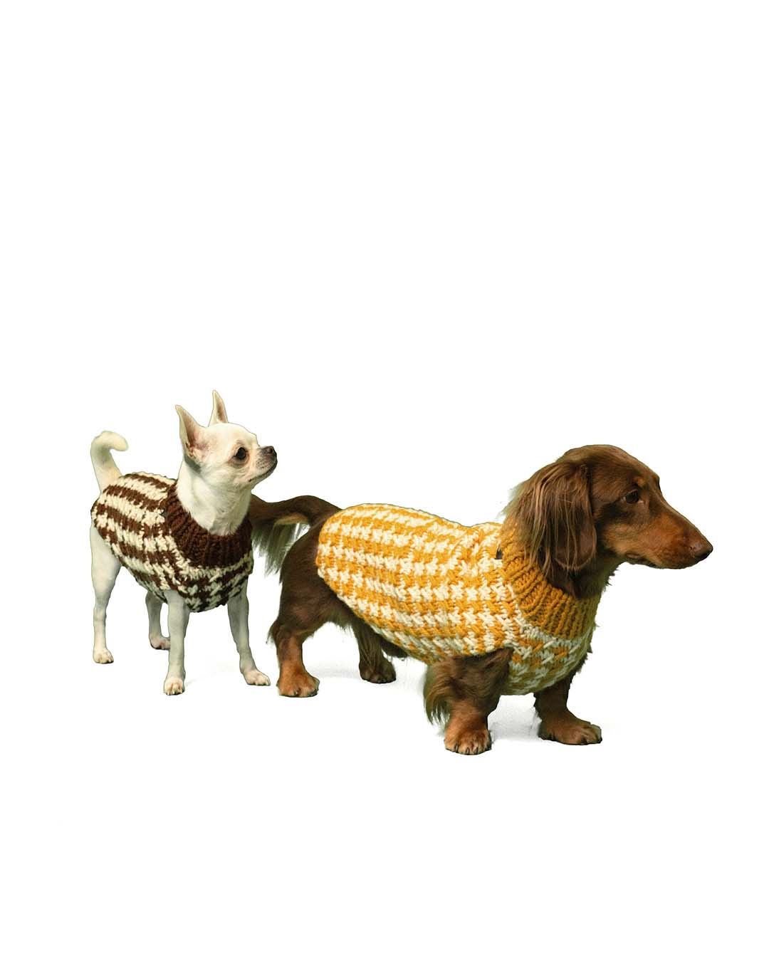COCO - pied de poule dog sweater