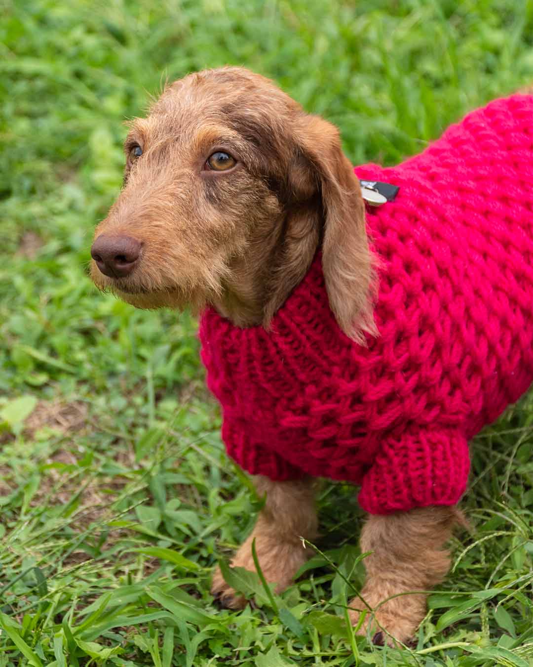 FREYA - Aran semi water-repellent dog sweater