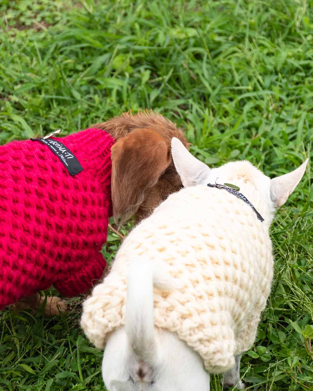 FREYA - Aran semi water-repellent dog sweater