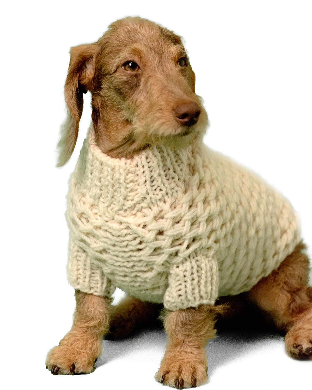 FREYA - Aran semi water-repellent dog sweater