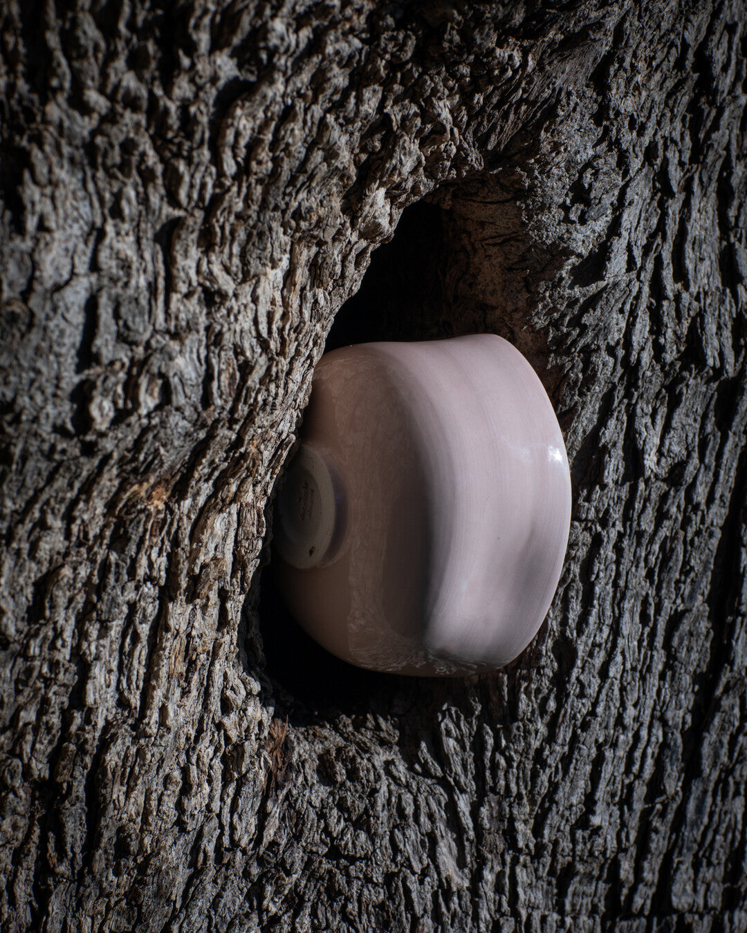 Piuma Matcha & Tea Cup