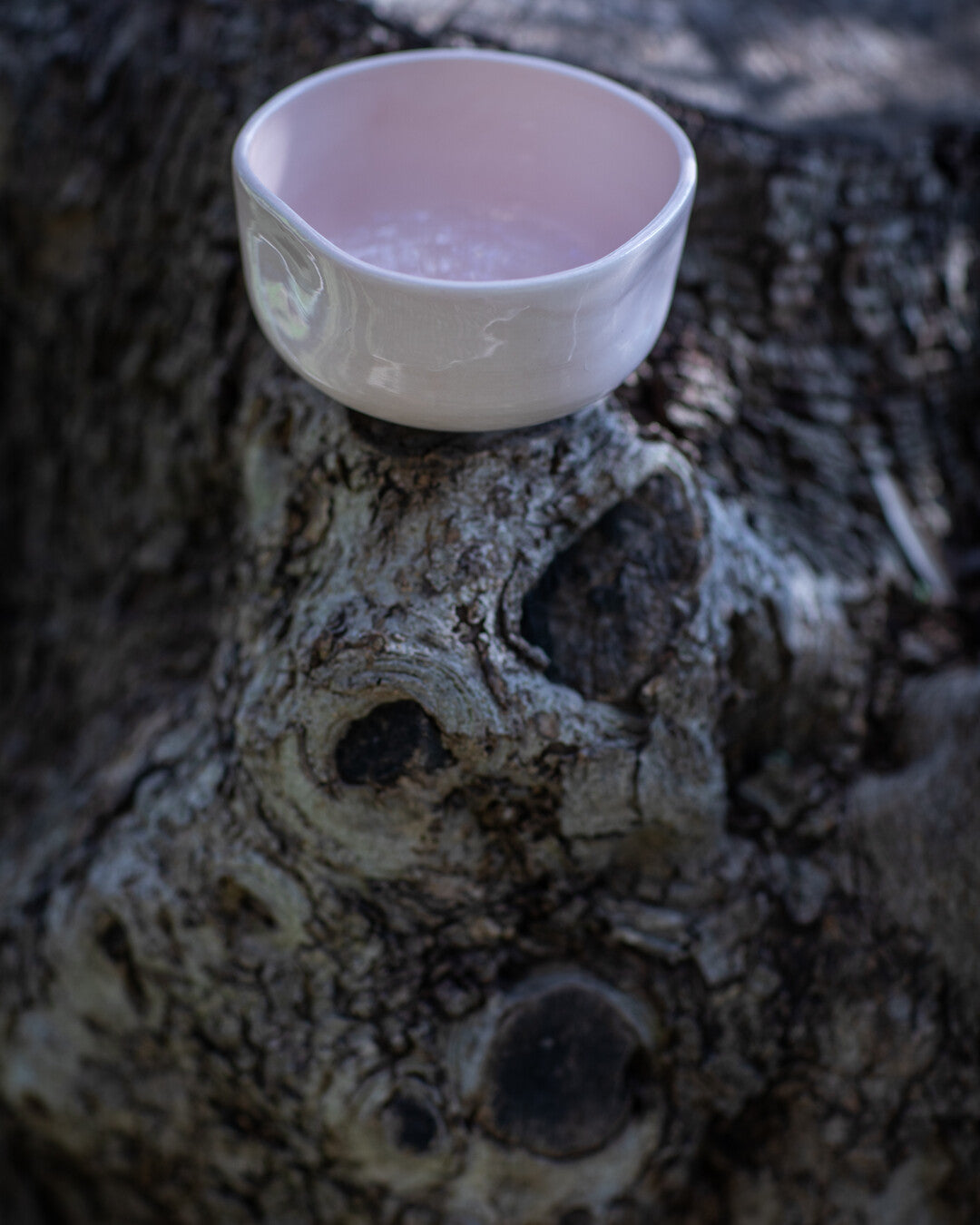 Piuma Matcha & Tea Cup