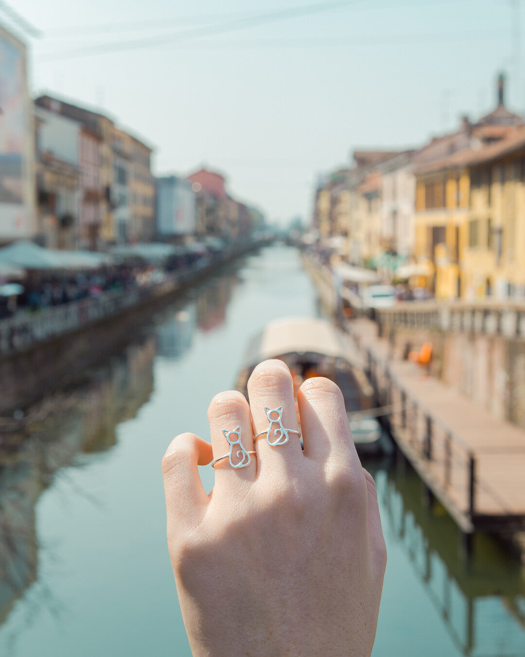 Anello Gatto