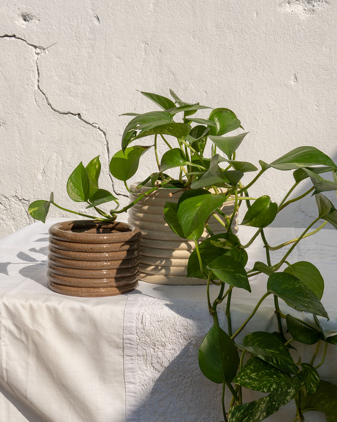 Hoop Planter - Ursula Ceramica