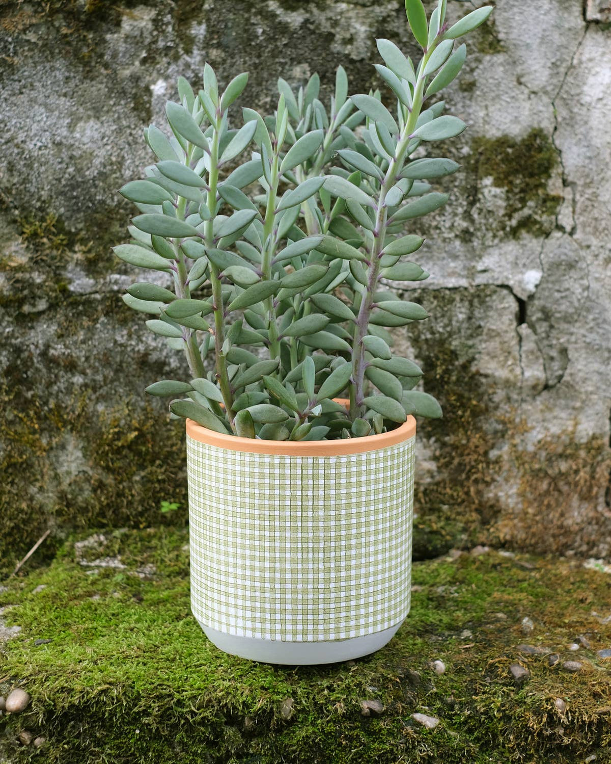 Checked clay pot with saucer – Medium