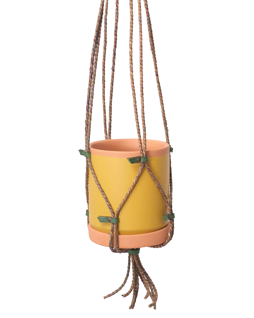 Seagrass plant hanger – Large