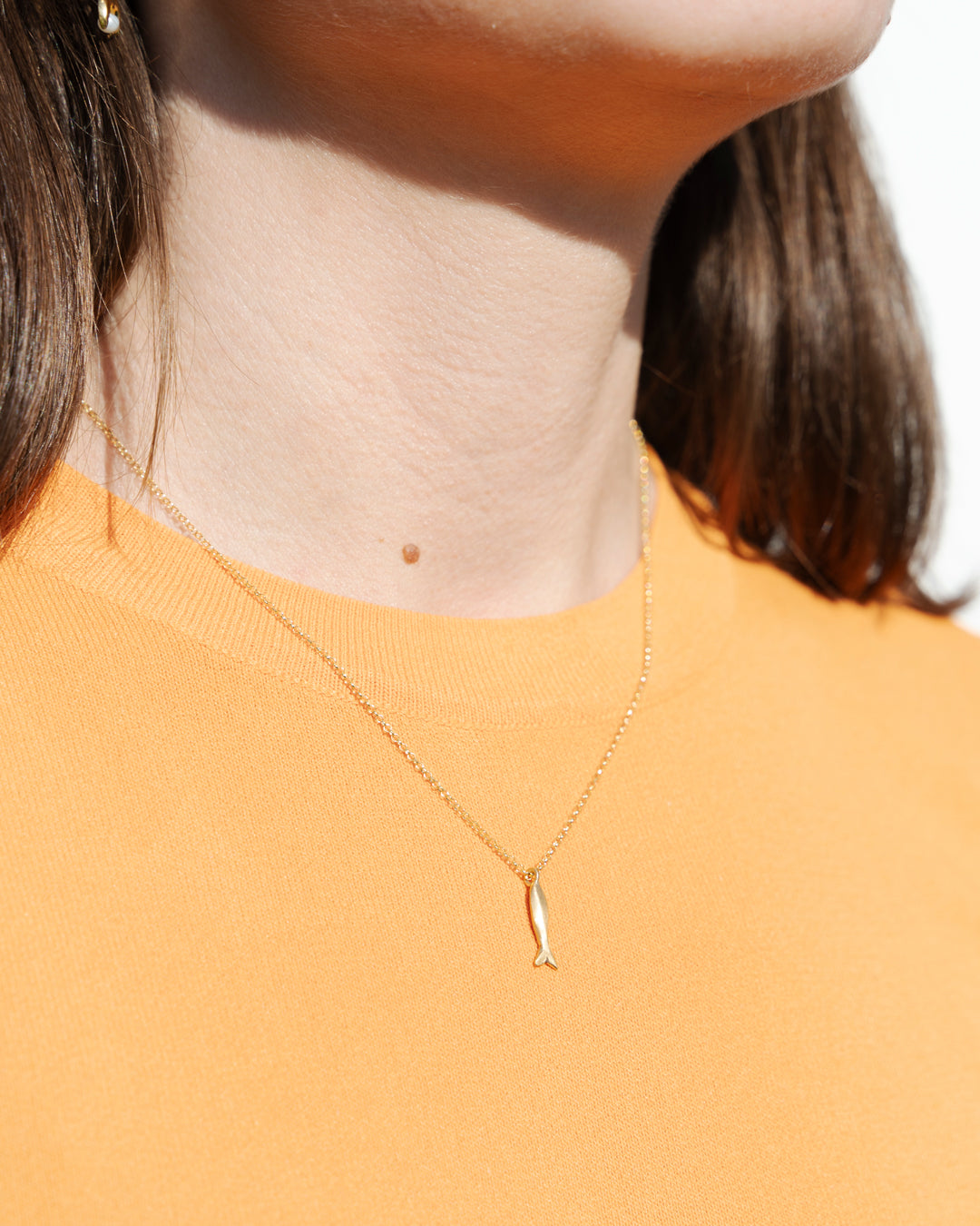 Collana Tuffatore