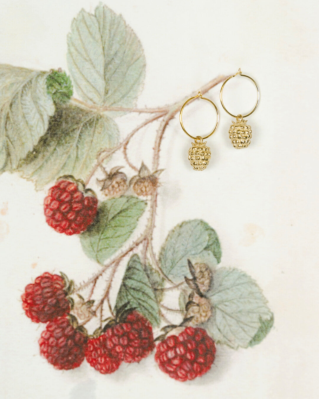 Orecchini lampone