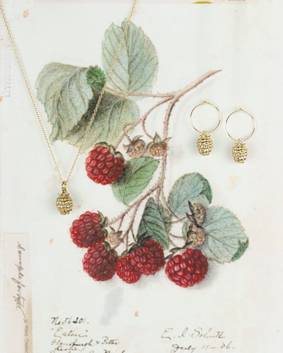 Orecchini lampone