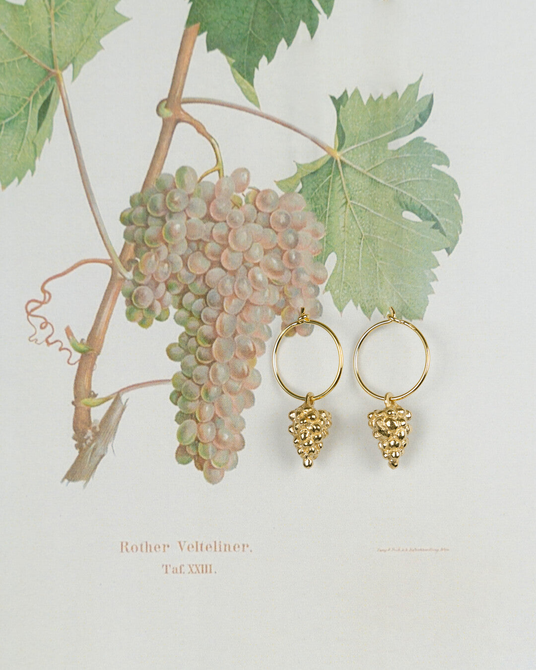 Handmade fruit earrings in bronze Bona Calvi