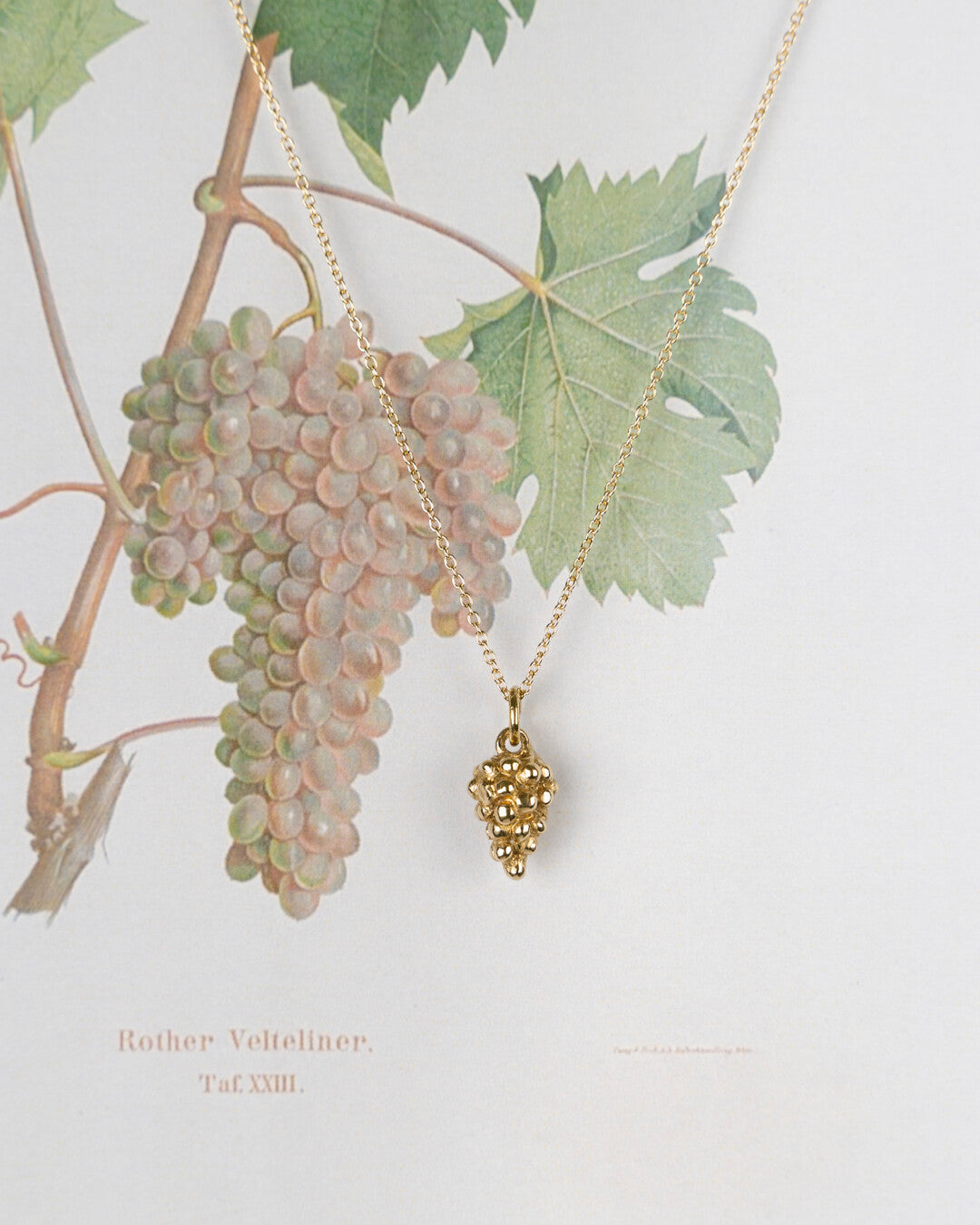 Handmade fruit necklace in bronze Bona Calvi
