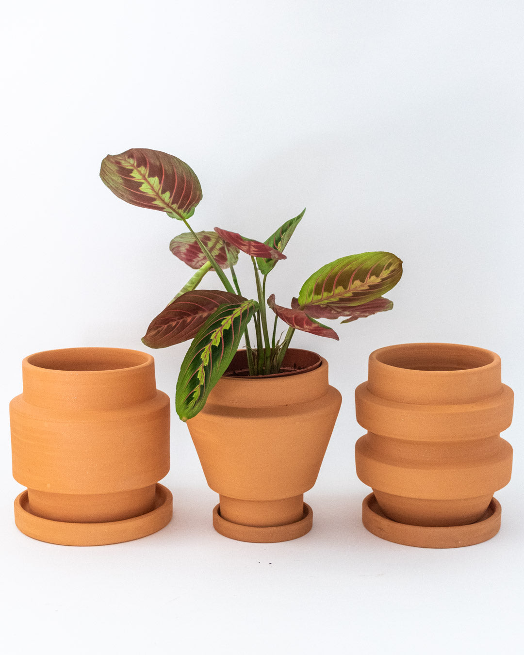 Boia Clay Pot