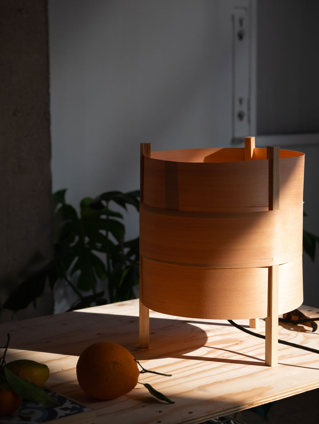 Concentrica Lamp