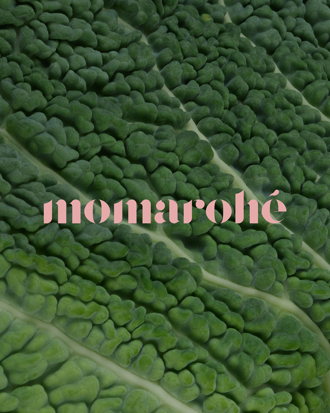Momarohé