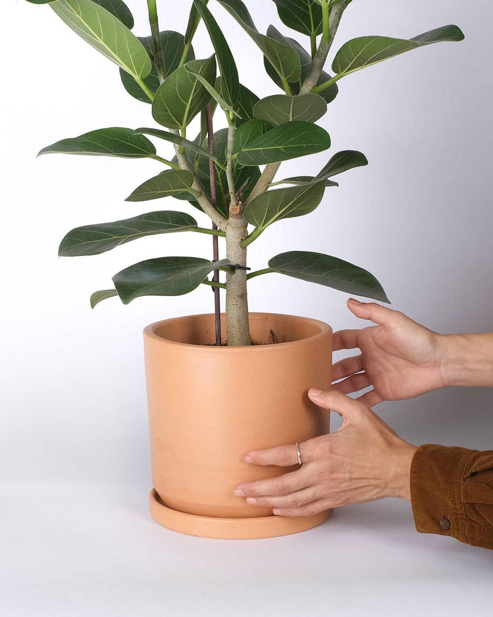 Natural clay pot with saucer – Small