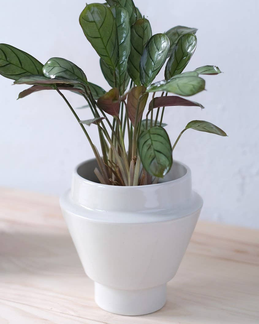 Glazed stoneware planter (Naval collection)