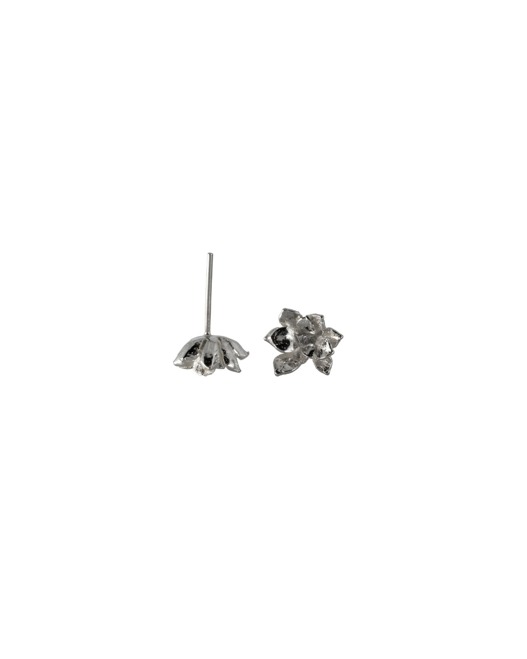 succulent earrings Ynes Succulent earrings