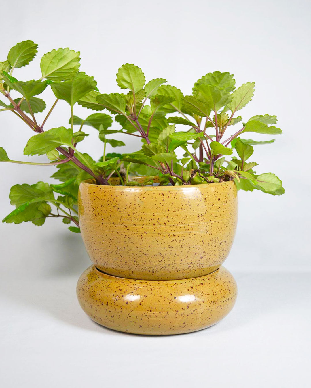 Handmade plant vase - Cami Studio