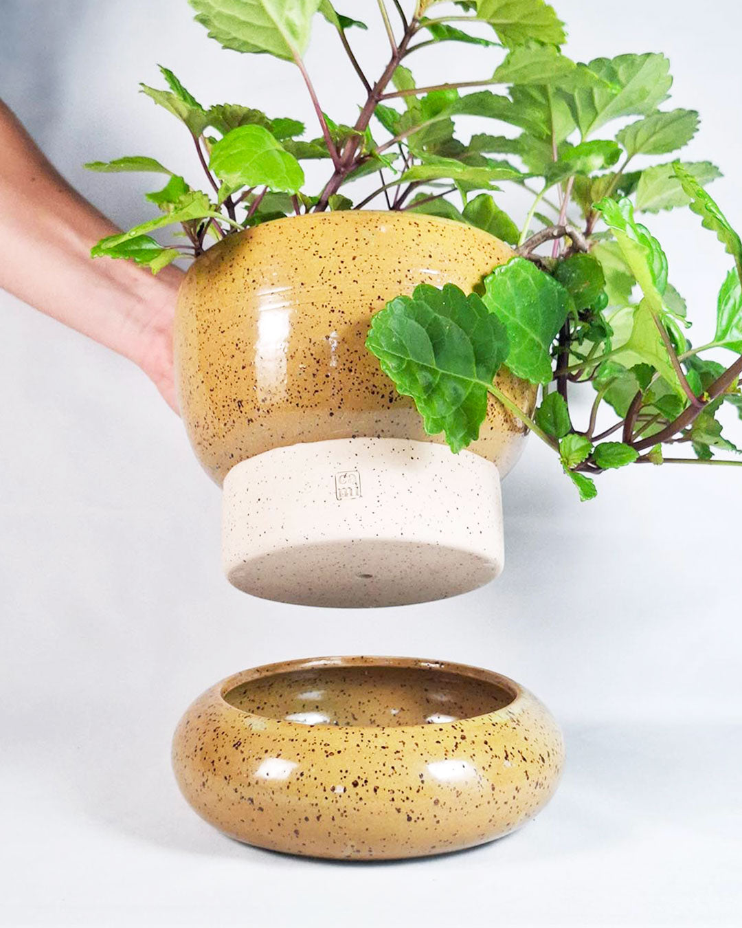 Handmade plant vase - Cami Studio