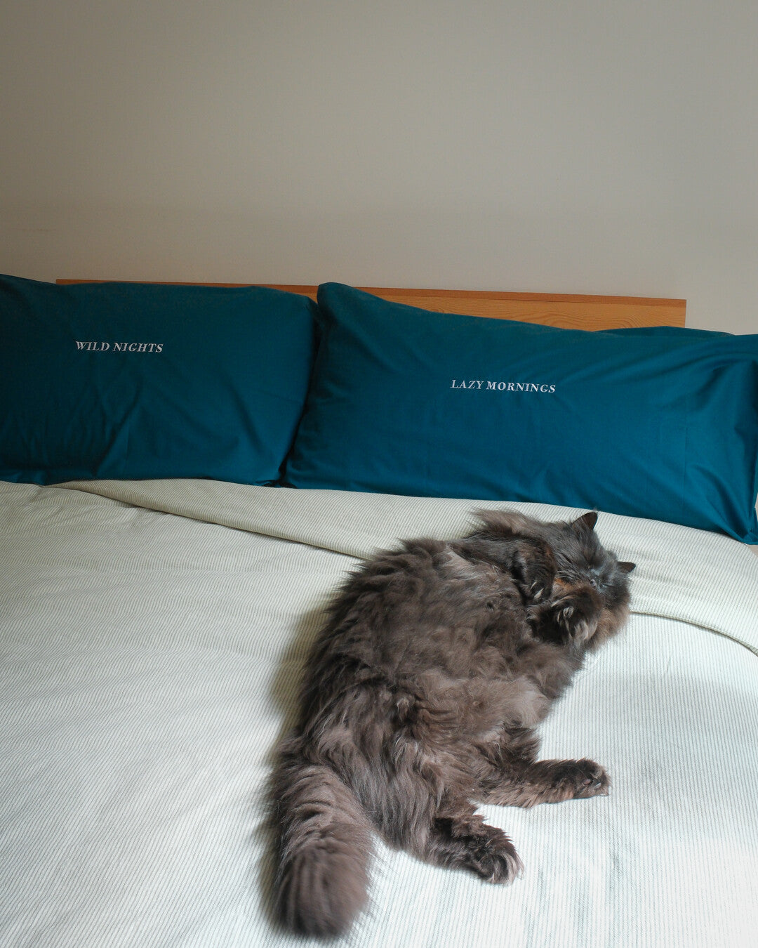 Percale Pillowcase - Set of 2 | TA-DAAN x Dalfilo