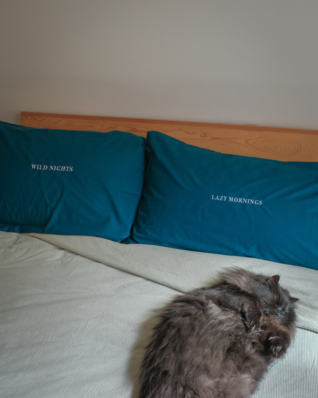 Percale Pillowcase - Set of 2 | TA-DAAN x Dalfilo