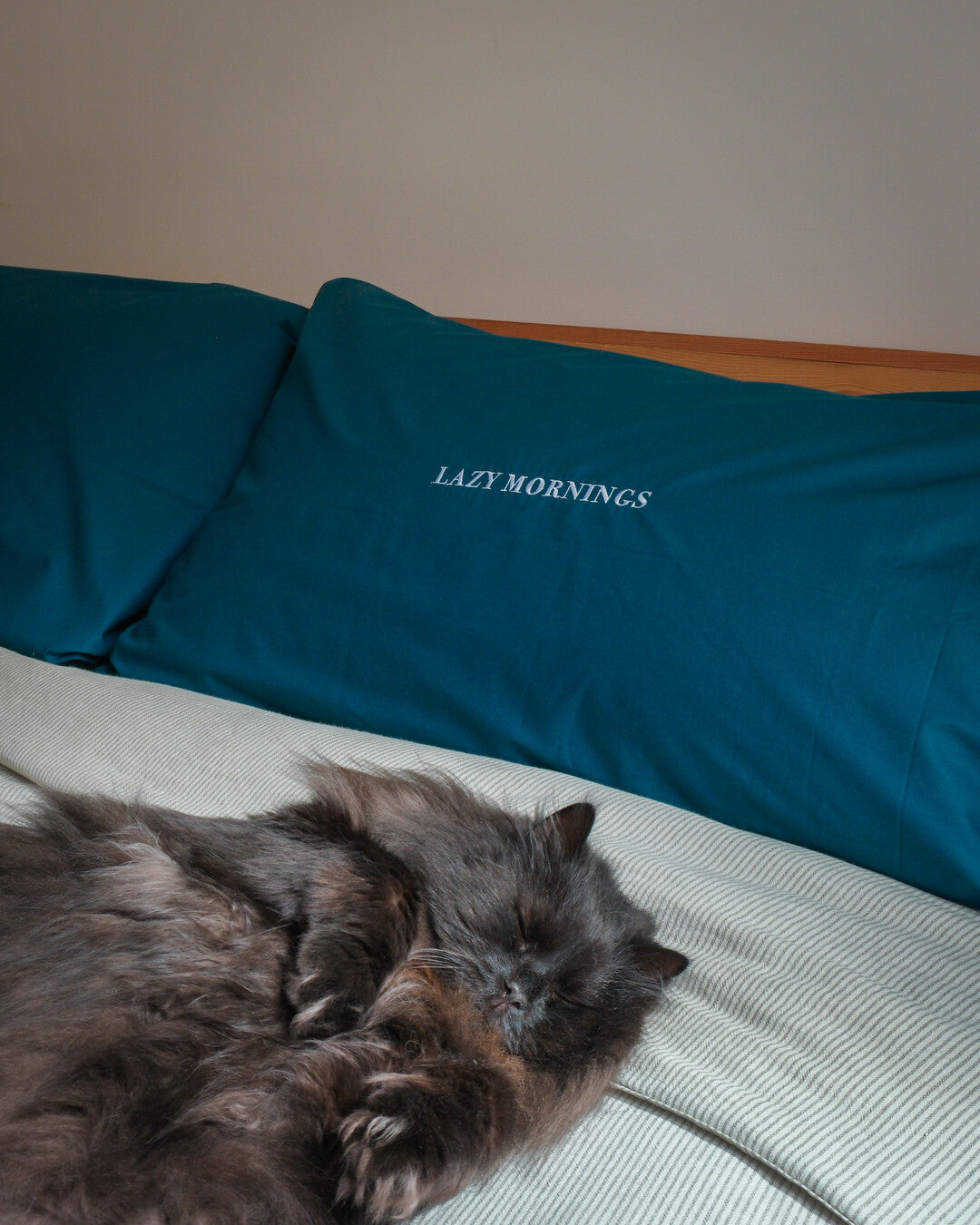 Percale Pillowcase - Set of 2 | TA-DAAN x Dalfilo