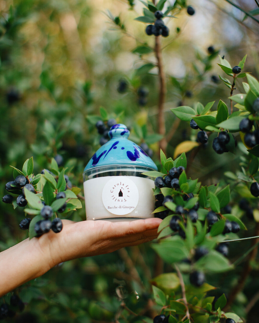 Bacche di Ginepro - Trullino Candle with ceramic lid