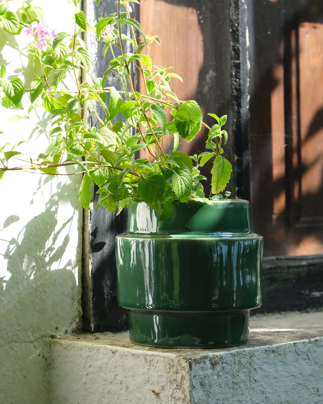Glazed Boia Clay Pot - Green