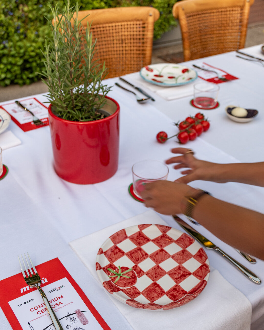 Picnic Plates MIX - Set of 6