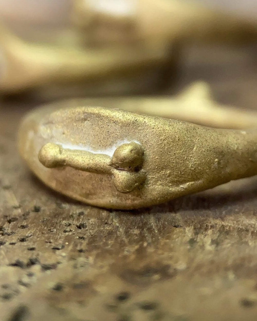 Fascinus Fascinus Ring - DiB.Lab