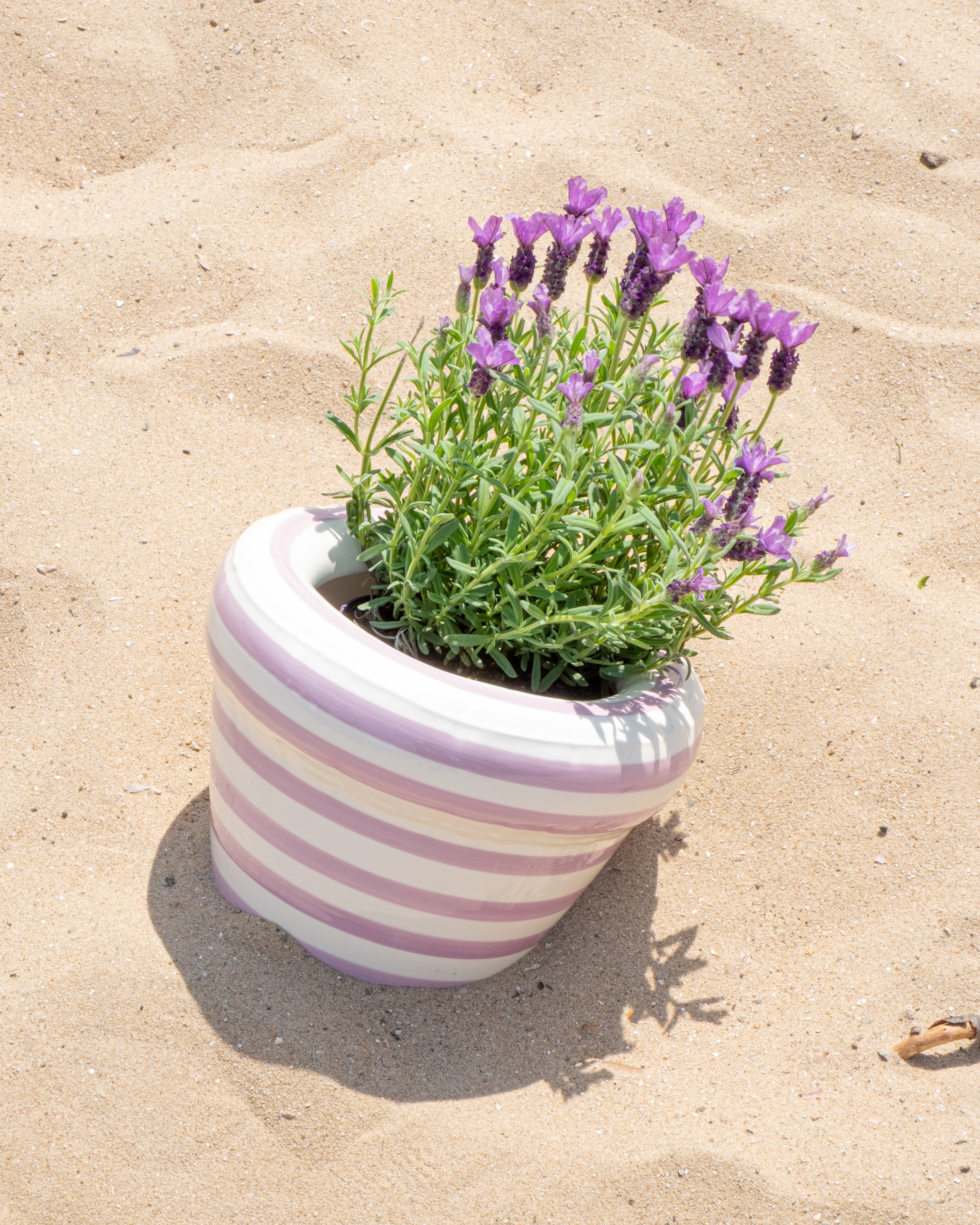 Pierre planter stripes